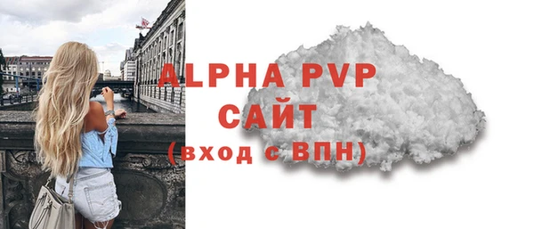 дмт Богданович