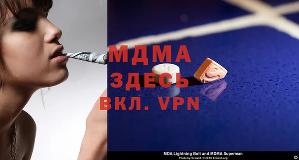 дмт Богданович