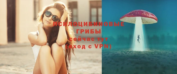 apvp Богородск
