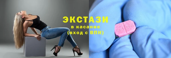 дмт Богданович