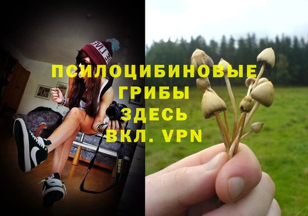 дмт Богданович