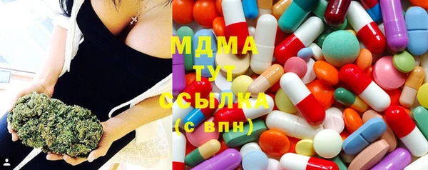 дмт Богданович