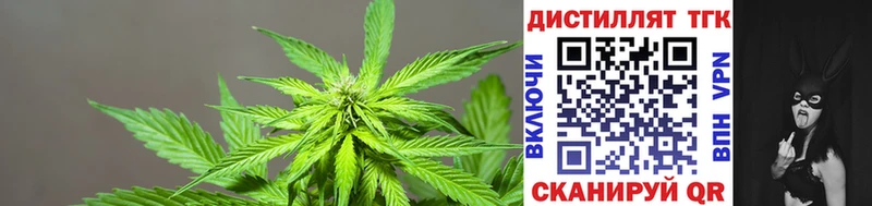 Купить Астрахань ТГК вейп
